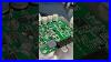 Toyota_Blower_Motor_Control_Module_87103_60480_Highlander_2005_2013_Hvac_Fix_01_nwv
